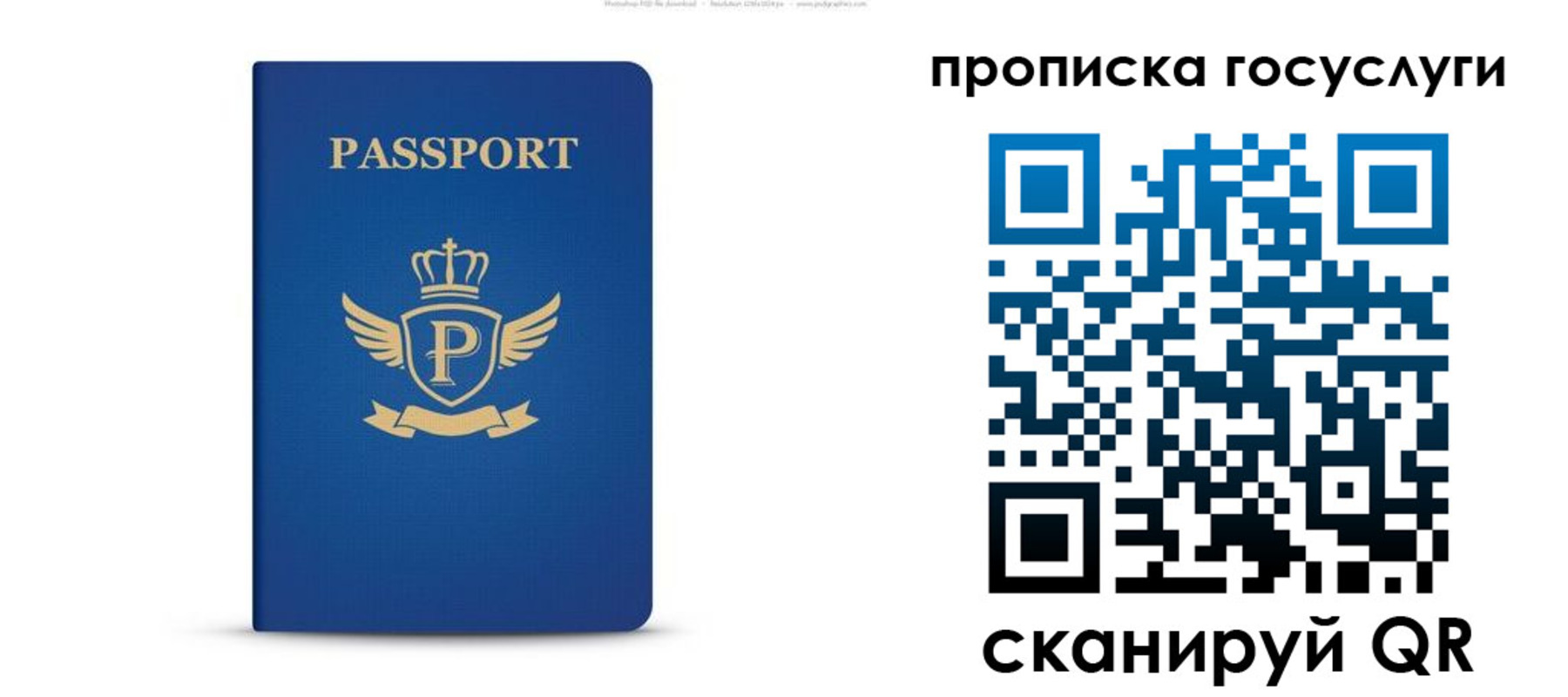 прописка для школы в Шебекино